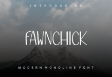 Fawnchik Font Poster 1