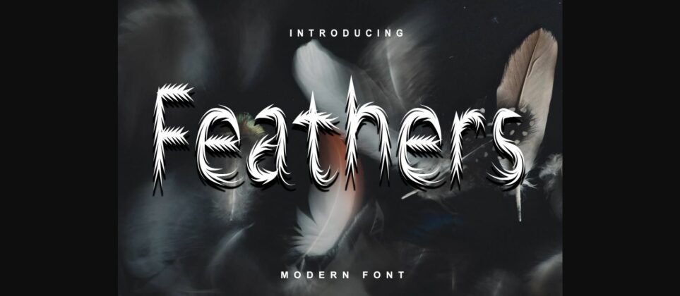 Feathers Font Poster 3