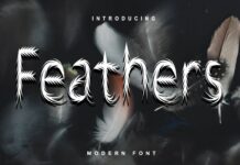 Feathers Font Poster 1