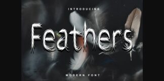 Feathers Font Poster 1