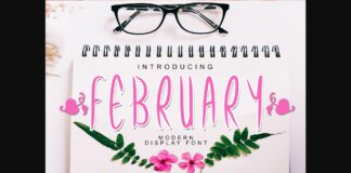 February Font Poster 1