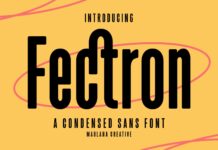 Fectron Font Poster 1