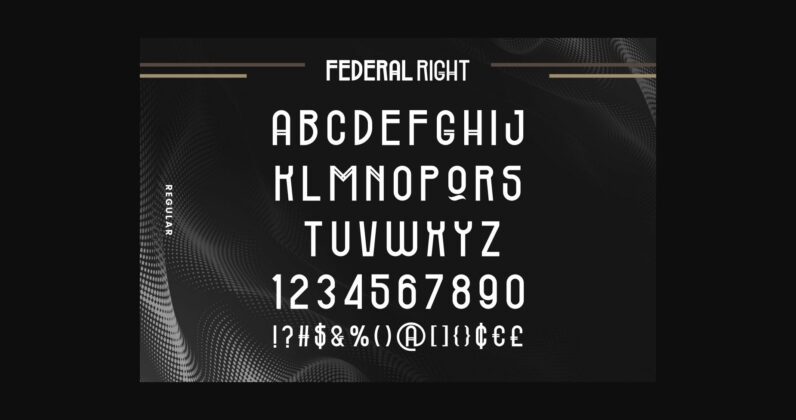Federal Right Font Poster 6