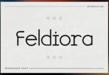 Feldiora Font Poster 1