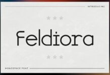 Feldiora Font Poster 1