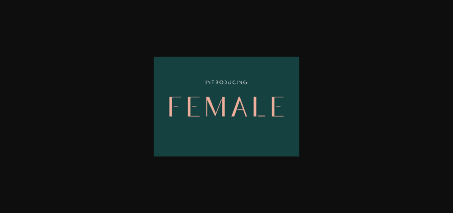 Female Font Poster 3