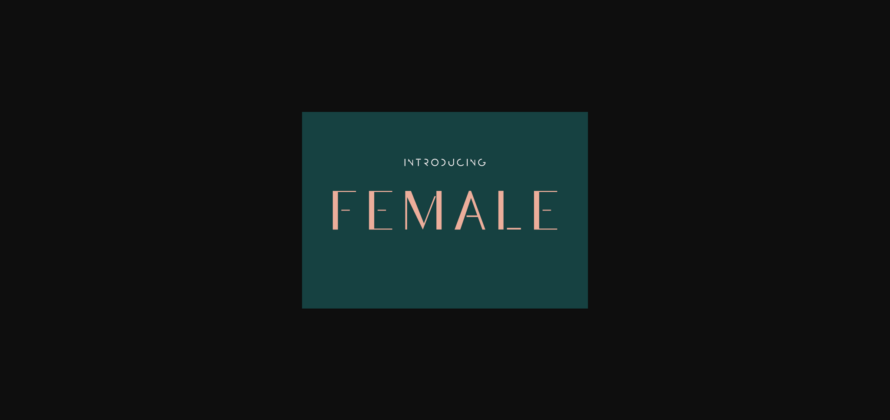 Female Font Poster 1