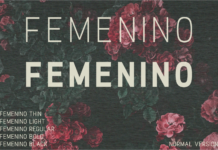 Femenino Font Poster 1