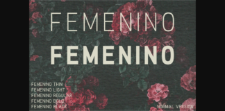 Femenino Font Poster 1