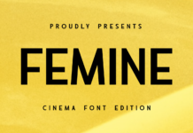 Femine Font Poster 1