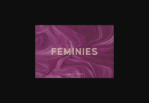 Feminies Font Poster 1