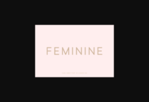 Feminine Font Poster 1