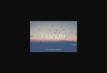 Femium Font Poster 1