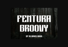 Fentura Groovy Font Fentura Groovy Font Poster 1
