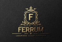 Ferrum Poster 1