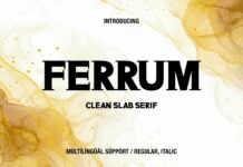 Ferrum Poster 1