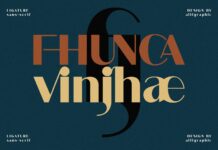 Fhunca Vinjhae Font Poster 1