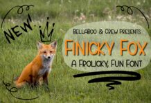 Finicky Fox Font Poster 1