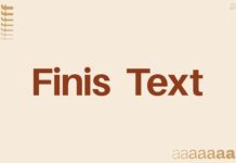 Finis Text Font Poster 1