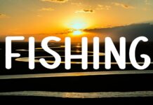 Fishing Font Poster 1