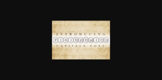 Fisionomica Font Poster 1