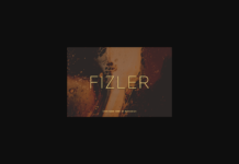 Fizler Font Poster 1