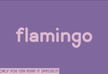 Flamingo Font Poster 1