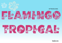 Flamingo Tropical Font Poster 1