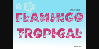 Flamingo Tropical Font Poster 1