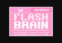 Flash Brain Font Poster 1
