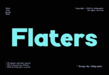 Flaters Font Poster 1