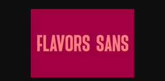 Flavor Sans Font Poster 1
