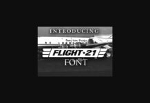 Flight 21 Font Poster 1