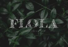 Flola Font Poster 1