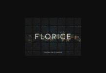 Florice Font Poster 1
