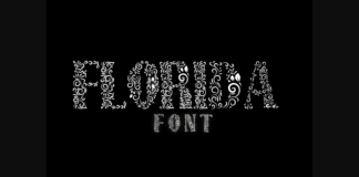 Florida Font Poster 1