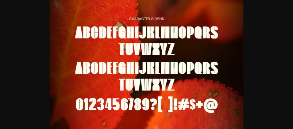 Flower Font Poster 8