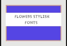 Flower Stylish Font Poster 1