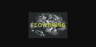 Flowering Font Poster 1
