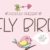 Fly Bird Font