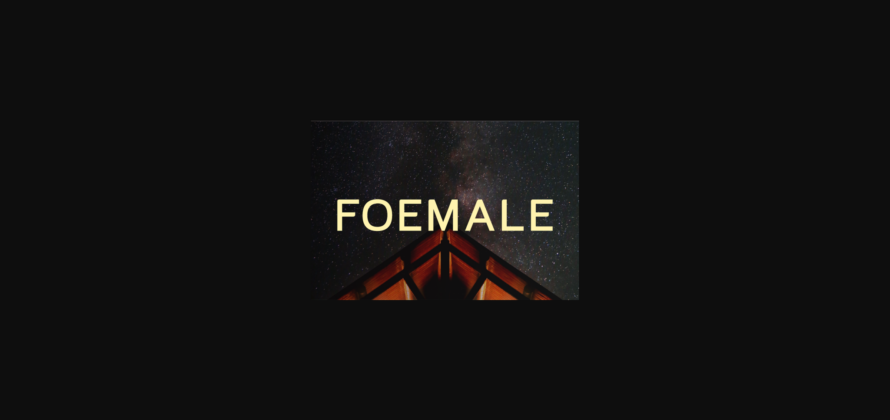 Foemale Font Poster 3