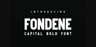 Fondene Font Poster 1