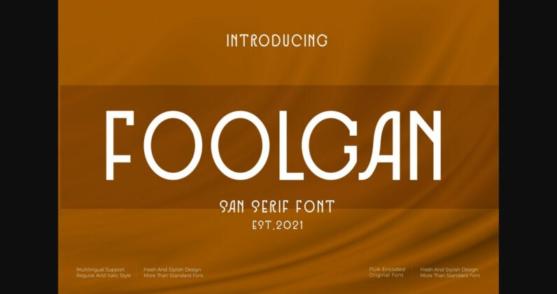 Foolgan Font Poster 1