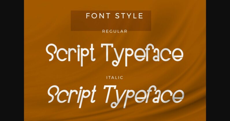 Foolgan Font Poster 5