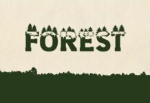 Forest Font Poster 1