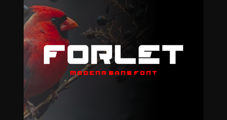 Forlet Font Poster 1