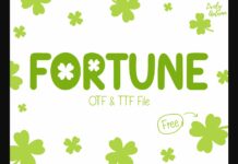 Fortune Font Poster 1