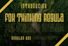 Fox Thinking Font Fox Thinking Font