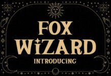 Fox Wizard Poster 1