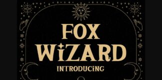 Fox Wizard Poster 1